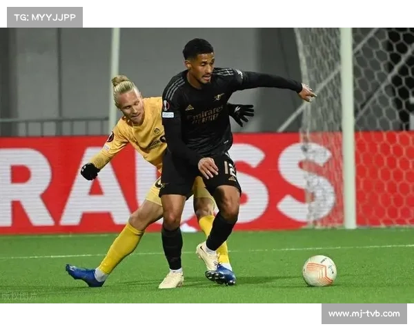 德甲格局悄然变化 豪门争锋新势力崛起引发新篇章